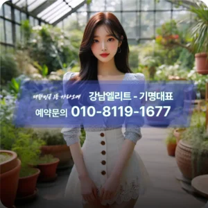 강남가라오케_아가씨